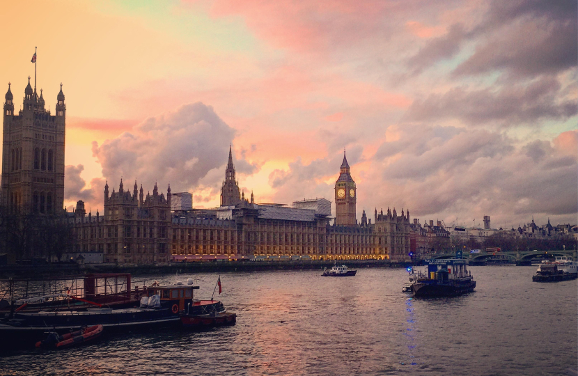 Parliament at sunset